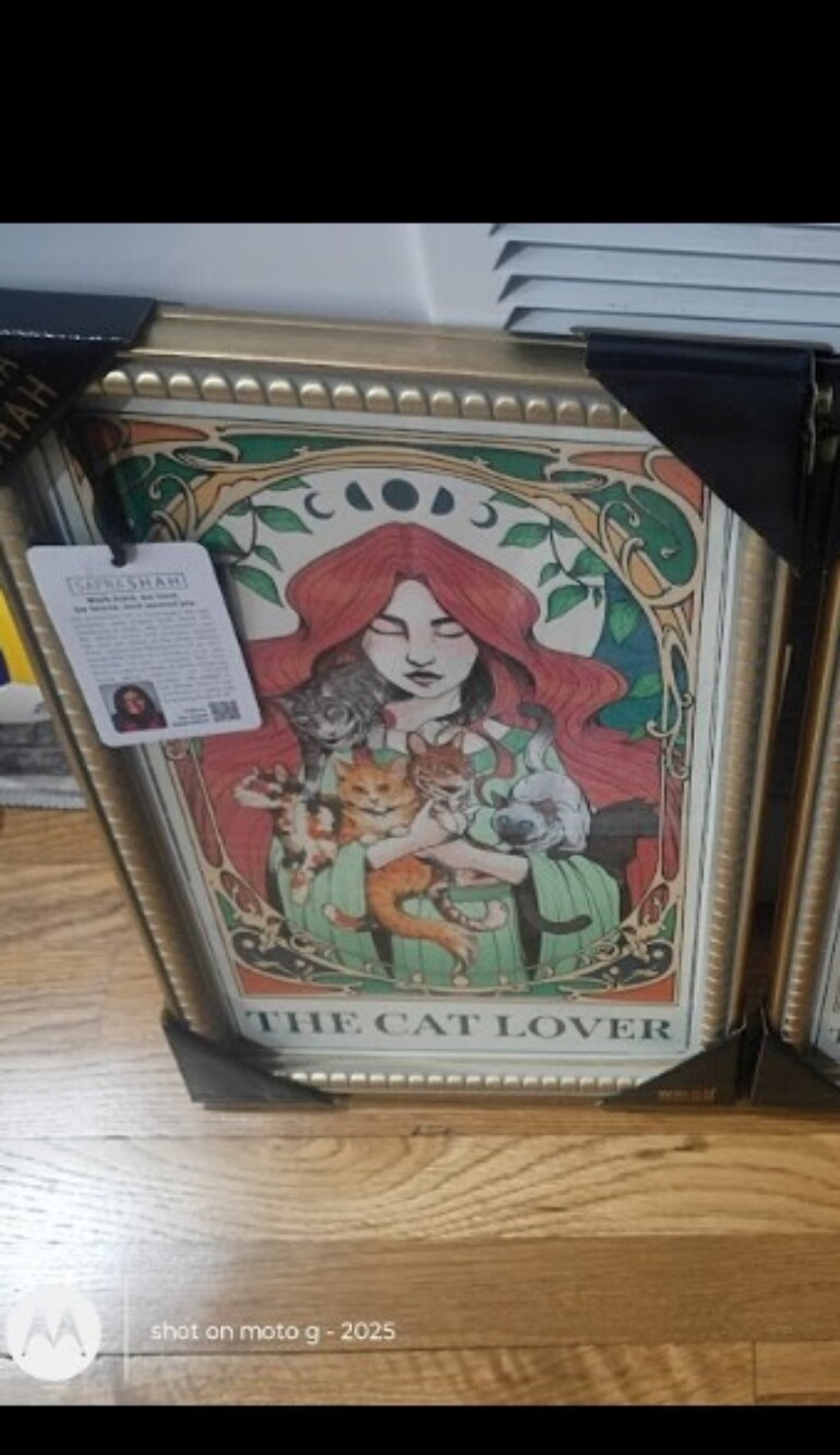 New Sapna Shah The Cat Lover Framed Wall Art Print 18”x12” Tarot Card Cats Rare